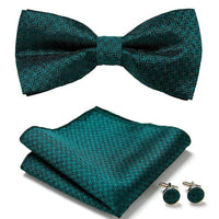 Thumbnail for Silk Bowtie and Pocket Square Set