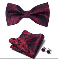 Thumbnail for Silk Bowtie and Pocket Square Set