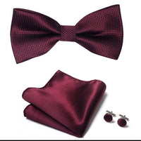 Thumbnail for Silk Bowtie and Pocket Square Set